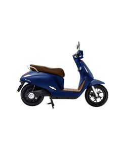 Giới thiệu về VinFast Evo Neo