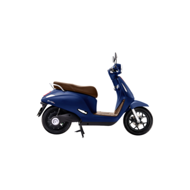 Giới thiệu về VinFast Evo Neo