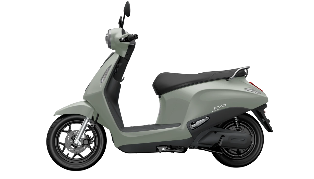 max-olive